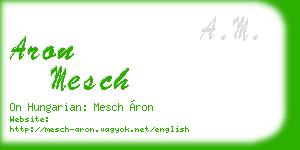 aron mesch business card